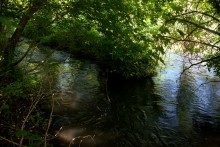Остатки водяных мельниц в хуторе Дубовом на реке Кундрючьей