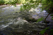 Остатки водяных мельниц в хуторе Дубовом на реке Кундрючьей