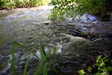 Остатки водяных мельниц в хуторе Дубовом на реке Кундрючьей