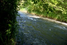 Остатки водяных мельниц в хуторе Дубовом на реке Кундрючьей