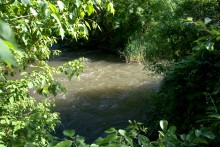 Остатки водяных мельниц в хуторе Дубовом на реке Кундрючьей