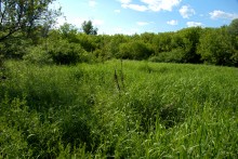 Остатки водяных мельниц в хуторе Дубовом на реке Кундрючьей
