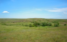 Остатки водяных мельниц в хуторе Дубовом на реке Кундрючьей