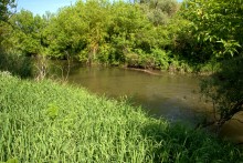Остатки водяных мельниц в хуторе Дубовом на реке Кундрючьей