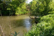 Остатки водяных мельниц в хуторе Дубовом на реке Кундрючьей