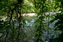 Остатки водяных мельниц в хуторе Дубовом на реке Кундрючьей