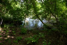 Остатки водяных мельниц в хуторе Дубовом на реке Кундрючьей