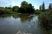 Остатки водяных мельниц в хуторе Дубовом на реке Кундрючьей