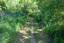 Остатки водяных мельниц в хуторе Дубовом на реке Кундрючьей