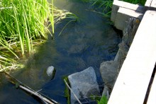 Остатки водяных мельниц в хуторе Дубовом на реке Кундрючьей