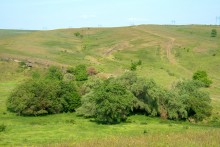 Остатки водяных мельниц в хуторе Дубовом на реке Кундрючьей