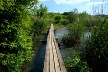 Остатки водяных мельниц в хуторе Дубовом на реке Кундрючьей