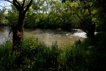 Остатки водяных мельниц в хуторе Дубовом на реке Кундрючьей