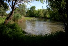 Остатки водяных мельниц в хуторе Дубовом на реке Кундрючьей