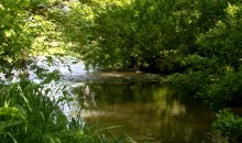 Остатки водяных мельниц в хуторе Дубовом на реке Кундрючьей