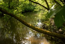 Остатки водяных мельниц в хуторе Дубовом на реке Кундрючьей