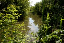 Остатки водяных мельниц в хуторе Дубовом на реке Кундрючьей