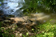 Остатки водяных мельниц в хуторе Дубовом на реке Кундрючьей