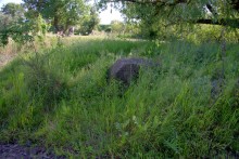 Остатки водяных мельниц в хуторе Дубовом на реке Кундрючьей