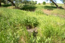 Остатки водяных мельниц в хуторе Дубовом на реке Кундрючьей