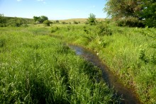 Остатки водяных мельниц в хуторе Дубовом на реке Кундрючьей