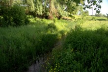 Остатки водяных мельниц в хуторе Дубовом на реке Кундрючьей