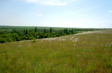 Остатки водяных мельниц в хуторе Дубовом на реке Кундрючьей