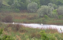 Путешествие очень дождливым маем, по правобережью Северского Донца