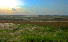 Июньские цвета долины Кундрючьей