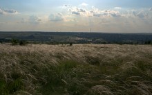 Ковыльная степь у Синегорского