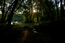 Ольховый пруд между Листопадовым и Нижнекундрюченской