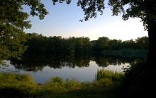 Ольховый пруд между Листопадовым и Нижнекундрюченской