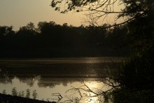 Ольховый пруд между Листопадовым и Нижнекундрюченской