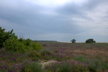 Путешествие по берегу Меотиды от Шабельского, Сазальницкой косы и маяка, через Новомаргаритово к Чумбур косе.