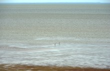 Путешествие по берегу Меотиды от Шабельского, Сазальницкой косы и маяка, через Новомаргаритово к Чумбур косе.