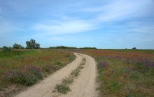 Путешествие по берегу Меотиды от Шабельского, Сазальницкой косы и маяка, через Новомаргаритово к Чумбур косе.