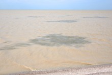 Путешествие по берегу Меотиды от Шабельского, Сазальницкой косы и маяка, через Новомаргаритово к Чумбур косе.