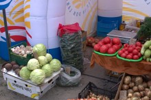 Станица Багаевская, Дон, старина и праздник огурца