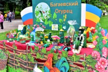 День огурца в станице Багаевской