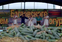День огурца в станице Багаевской