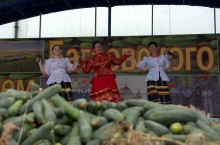 День огурца в станице Багаевской