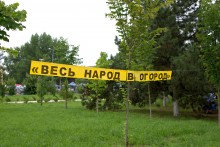 День огурца в станице Багаевской