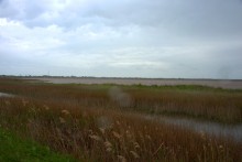 Приморско-Ахтарский маяк