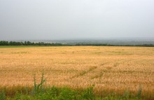 Ливень в июле в долине Северского Донца над урочищем Огиб