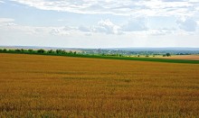 Церковь Покрова Пресвятой Богородицы в Нижнежуравском