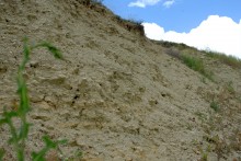 Памятник каменного века Бирючья балка