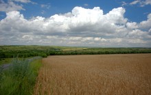 Памятник каменного века Бирючья балка