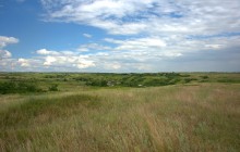 Памятник каменного века Бирючья балка