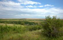 Памятник каменного века Бирючья балка