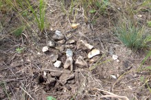 Памятник каменного века Бирючья балка